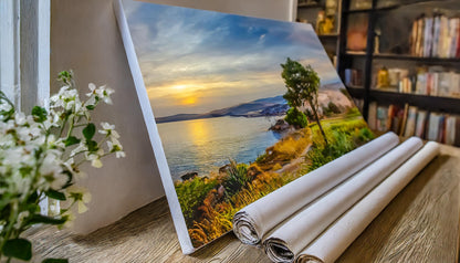 Firefly Large Canvas  - Atlanta Canvas and Print