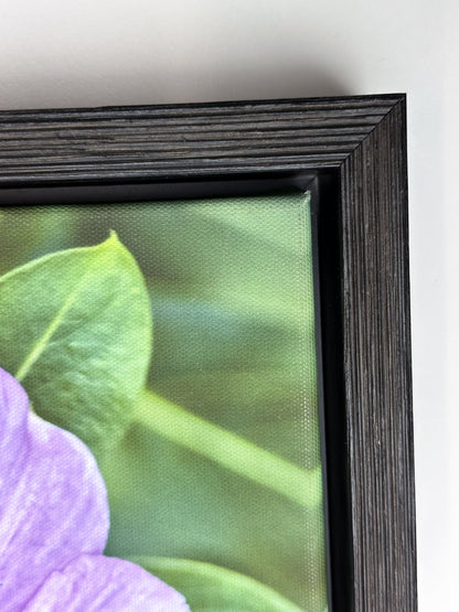 Barnwood Black - Atlanta Canvas and Print