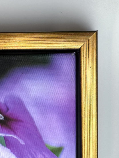 Fine Art Solid Color Wood Floater Frames