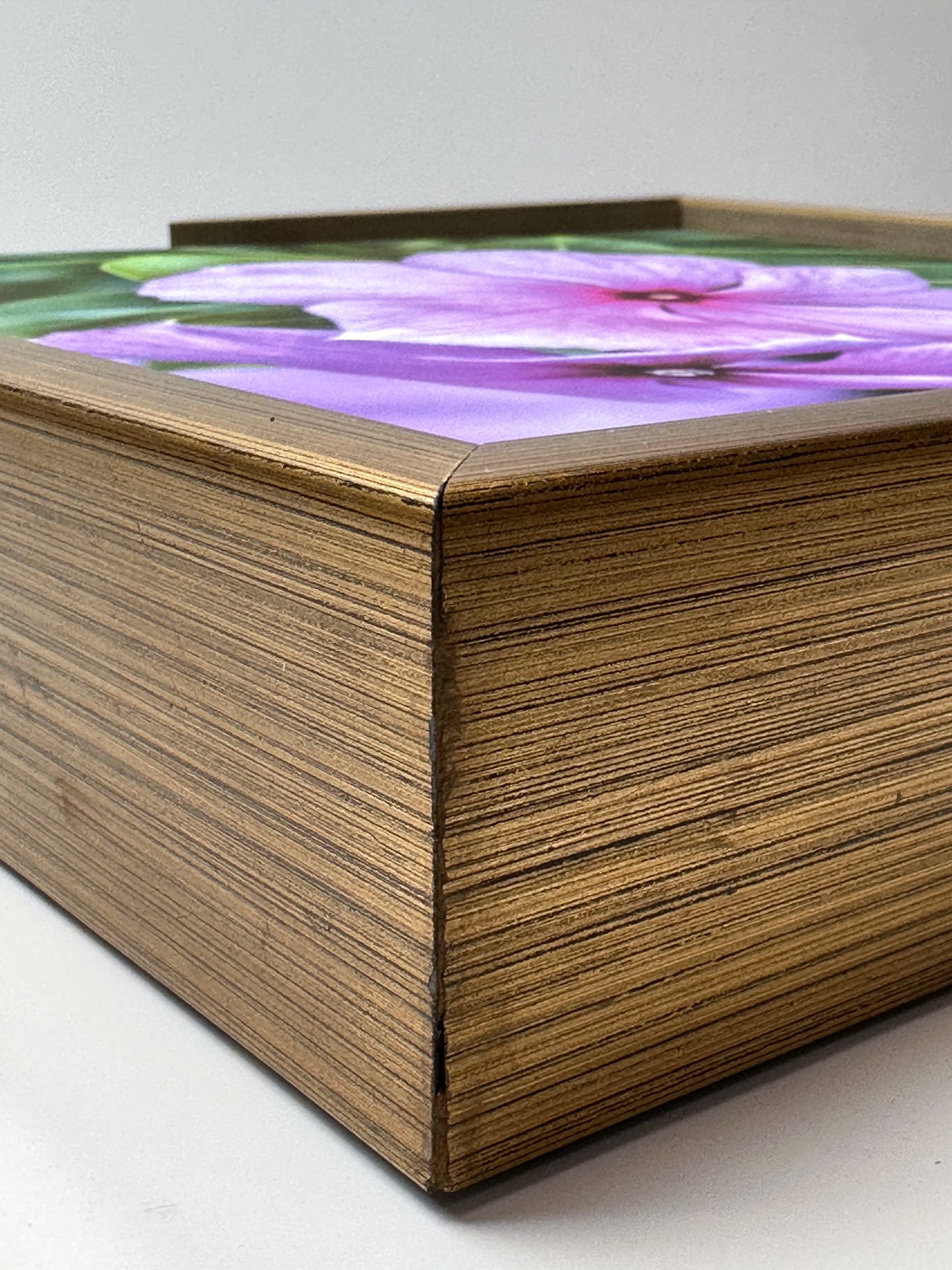 Fine Art Solid Color Wood Floater Frames