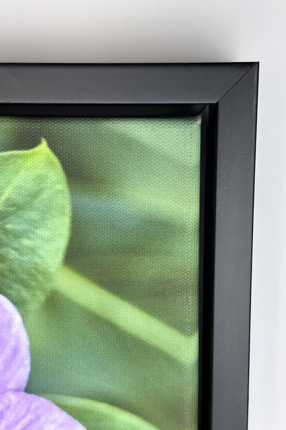 Black wooden floater frame used to display a canvas gallery wrap.