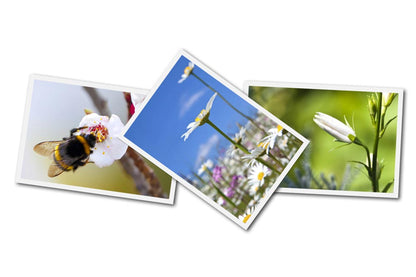Professional Glossy Paper for Photo Prints