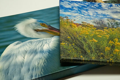 A Canvas Gallery Wrap mounted on 3/4 inch stretcher bars - Atlanta Canvas and Print